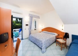 Park Hotel Terme Mediterraneo 5