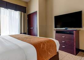 Comfort Suites Airport South 5