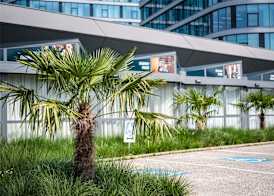 Ibis Styles Linz 4