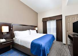Holiday Inn Express & Suites ST. LOUIS WEST-O'FALLON by IHG 3