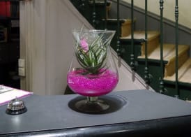 Hôtel des Ambassadeurs 4