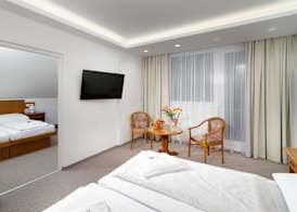 Wellness Hotel Astra 2