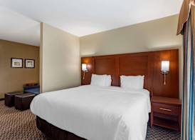 Comfort Inn & Suites Carbondale University Area 5