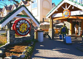 Samesun Banff Hostel 5