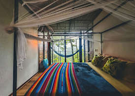 Selva Madre Eco Sanctuary 4