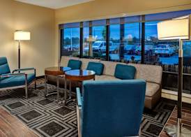 TownePlace Suites by Marriott Detroit Belleville 5