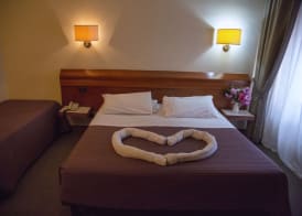 Hotel Arcadia 4