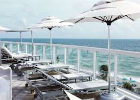 Hilton Fort Lauderdale Beach Resort 4