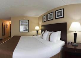 Holiday Inn CLEVELAND-S INDEPENDENCE by IHG 3