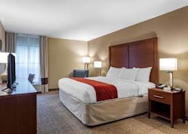 Comfort Inn Biltmore West 3