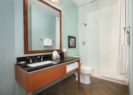 Hotel Indigo SAN ANTONIO-RIVERWALK by IHG 5