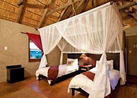 Hlosi Game Lodge - Amakhala Game Reserve 5