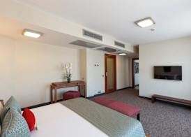 Nippon Hotel 5