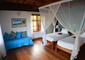 Heliconia Grove 5