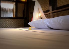 The Calmtree Bungalows 4