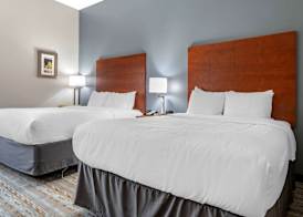 Comfort Inn & Suites Cleveland TX 4