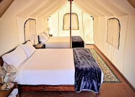 Wildhaven Yosemite Glamping 3