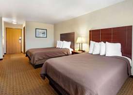 Best Western Wittenberg Inn 3