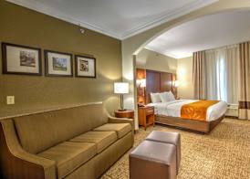 Comfort Suites Tomball Medical Center 4