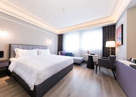 Mercure Xi'an Qujiang 3