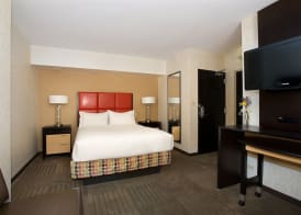 Holiday Inn Express DENVER DOWNTOWN by IHG 4