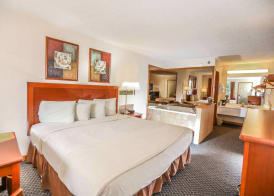 Super 8 by Wyndham Branson - Shepherd of the Hills Exwy 4