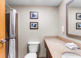 Comfort Inn & Suites Sikeston I-55 4