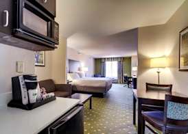 Holiday Inn Express & Suites LIVE OAK by IHG 4