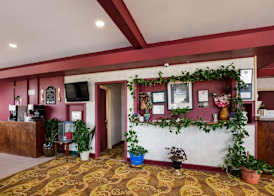 Knights Inn - Fayetteville NC 2