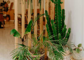 Palm Boutique Hôtel Nice 2