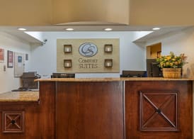 Comfort Suites North Dallas 2