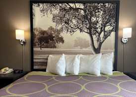 Super 8 by Wyndham Grayville 5