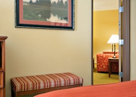Holiday Inn Express SALADO-BELTON by IHG 4