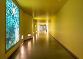 Hotel Baia Flaminia 2
