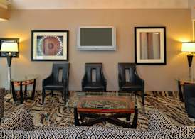 Comfort Inn & Suites Alexandria West 4