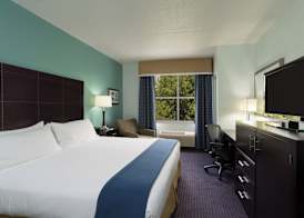 Holiday Inn Express & Suites PLANT CITY by IHG 3
