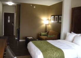 Comfort Suites Dover University Area 4