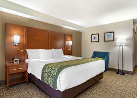Comfort Inn & Suites - near Robins Air Force Base Main Gate 4