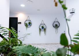 Hotel Ventus 3