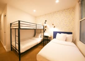 Doxie Hotel 4