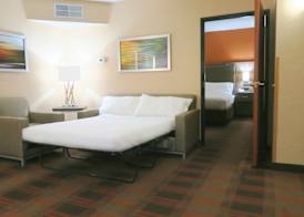 Holiday Inn Express & Suites ELK GROVE CENTRAL - HWY 99 by IHG 5