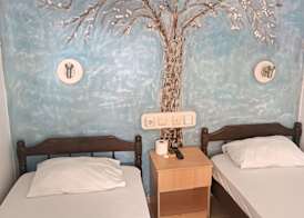 Pınara Pansiyon guesthouse 4