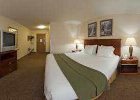Holiday Inn Express ADRIAN by IHG 3