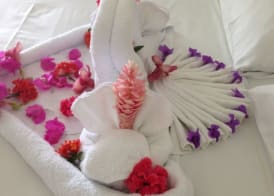Palm View Guesthouse and Conference Centre 2