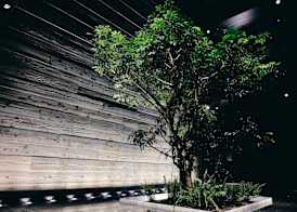 nol kyoto sanjo 3