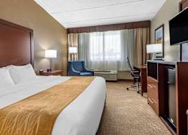 Comfort Inn Lancaster County North 4