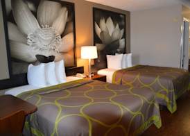 Super 8 by Wyndham Madison 5