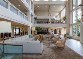 Wyndham Boca Raton Hotel 5