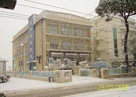 Hotel Cobalto 4