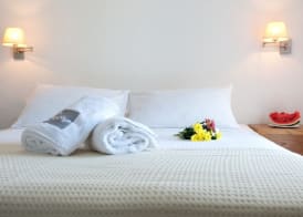 Elena Hotel Mykonos 5